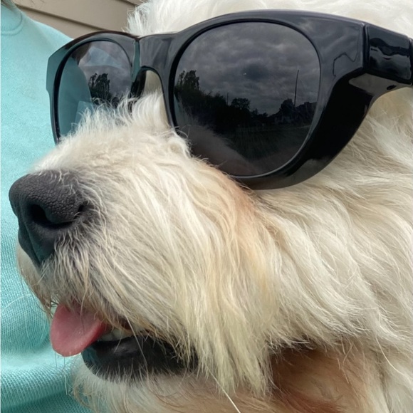 Meet your Posher, Diane - Picture 2 of 2